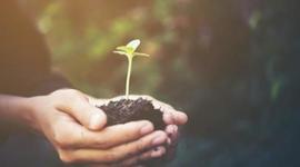 Timeline: Línea de tiempo, Proyecto de vida