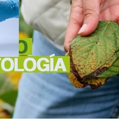 Timeline: Historia de la Fitopatología