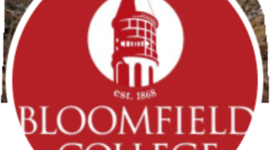 Timeline: Bloomfield Sports