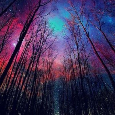 Timeline: Evaluacion del computador