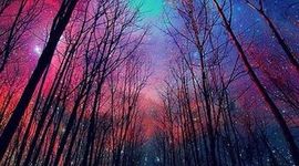 Timeline: Evaluacion del computador