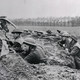 British soldiers fighting in trenches