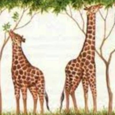 Timeline: Ideas evolutivas