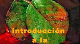 Timeline: Historia de la Fitopatología