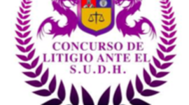 Timeline: Familia Ariza Daza v. República de Ipanema