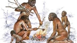 Timeline: Evolución Biológica