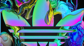 Timeline: earl warren