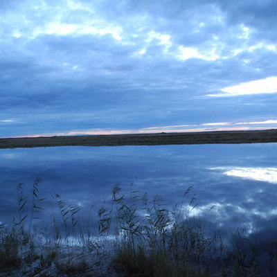 Timeline: Болоньский заповедник