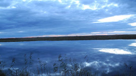 Timeline: Болоньский заповедник