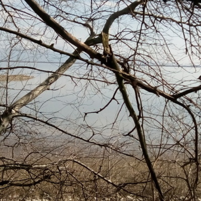 Timeline: Περιβαλλοντικό πρόγραμμα "Φύση-Περιβάλλον-Άθληση: Μια σχέση αλληλεπίδρασης"