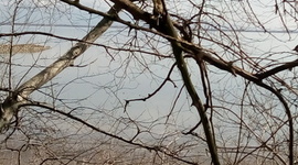 Timeline: Περιβαλλοντικό πρόγραμμα "Φύση-Περιβάλλον-Άθληση: Μια σχέση αλληλεπίδρασης"