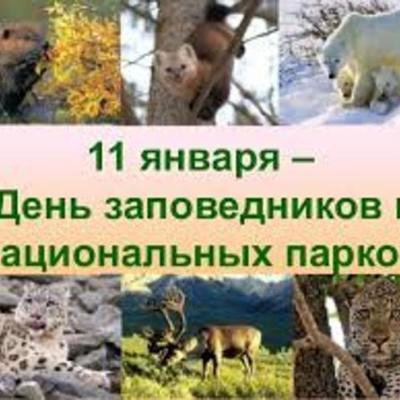 Timeline:  История Заповедника