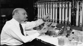 Timeline: LINEA  DE TIEMPO AVANCE Y SIGNIFICADO DE LOS  RECURSOS EDUCATIVOS DIGITALES