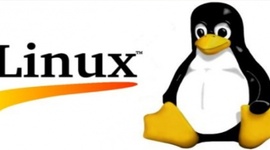 Timeline: LINUX