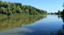 Timeline: Астраханский заповедник
