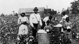 Timeline: Timeline of Slavery 1619-1964