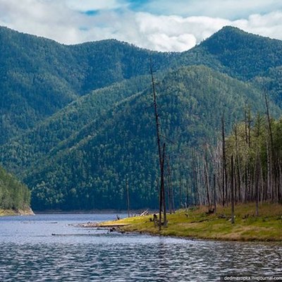 Timeline: Лента времени "Зейского" Заповедника