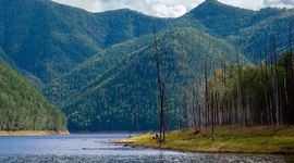 Timeline: Лента времени "Зейского" Заповедника