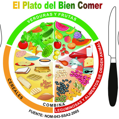 Timeline: Proyecto: Mi plato del bien comer
