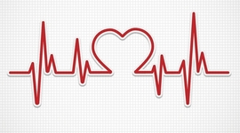 Timeline: Proyecto toma de pulso