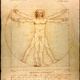 140214 sci vitruvianman.jpg.crop.original original2