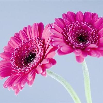 Timeline: Інтернет і наше життя