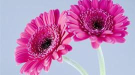 Timeline: Інтернет і наше життя