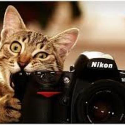 Timeline: FOTOGRAFÍA