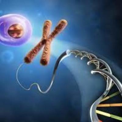 Timeline: Το ιστορικό της ανακάλυψης της δίκλωνης έλικας της ζωής (DNA).