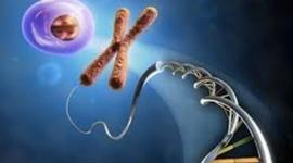 Timeline: Το ιστορικό της ανακάλυψης της δίκλωνης έλικας της ζωής (DNA).