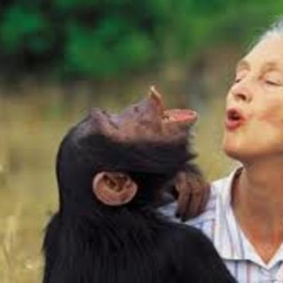 Timeline: Jane Goodall
