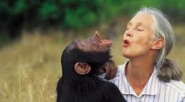 Timeline: Jane Goodall