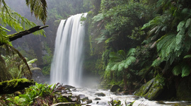 Timeline: my timeline