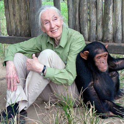 Timeline: Jane Goodall