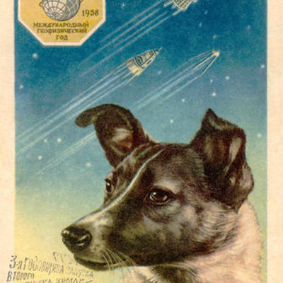Timeline: Laika the space dog