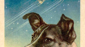 Timeline: Laika the space dog