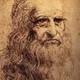 1538 possible self portrait of leonardo da vinci