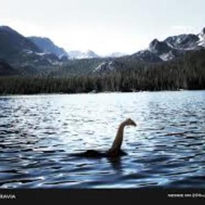 Timeline: Come nasce una leggenda: Nessie