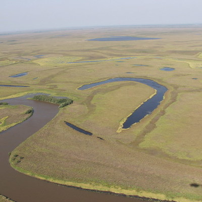 Timeline: 10 значимыми событий в истории Болоньскjого государственного природного заповедника