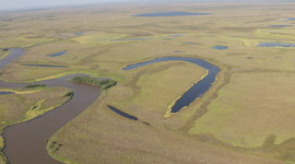 Timeline: 10 значимыми событий в истории Болоньскjого государственного природного заповедника