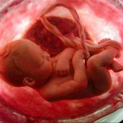 Timeline: EMBRIOLOGÍA DEL SISTEMA NERVIOSO