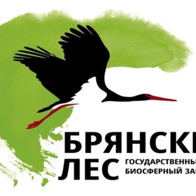Timeline: Заповедник "Брянский лес"