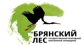 Timeline: Заповедник "Брянский лес"