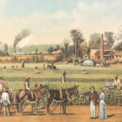 Timeline: Organización Económica de la colonia