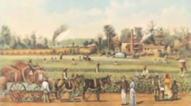 Timeline: Organización Económica de la colonia