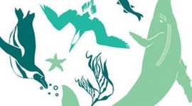 Timeline: Programa Punta San Juan