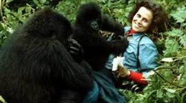 Timeline: Dian Fossey