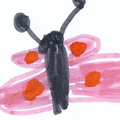 Timeline: Η γέννηση μιας πεταλούδας.