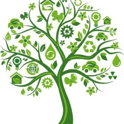 Timeline: Declaraciones sobre sustentabilidad y medio ambiente