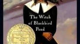 Timeline: The witch of blackbird pond Zen